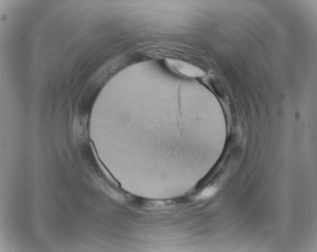 X0000064750239200603131351