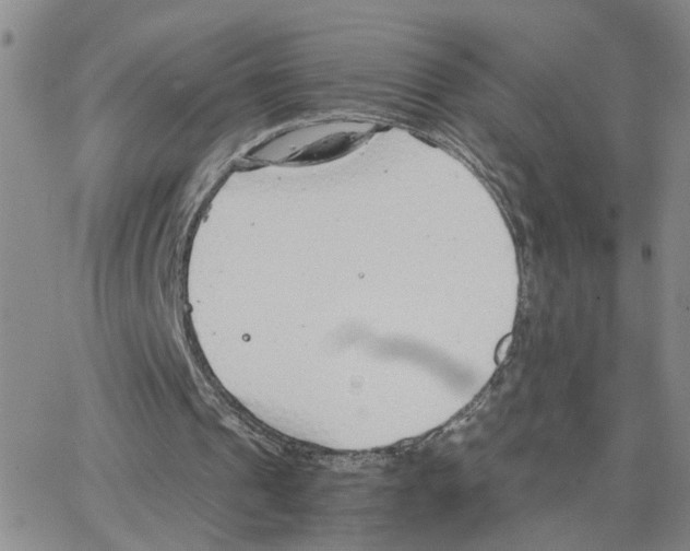 X0000064750241200603131350