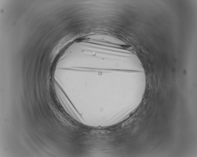 X0000064750242200603131350