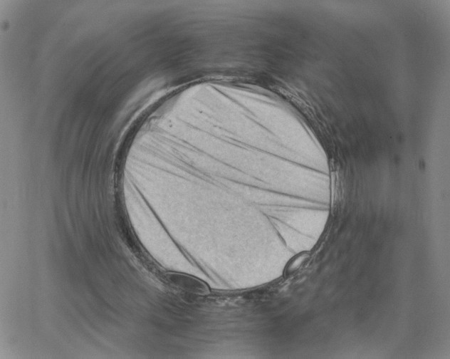 X0000064750243200603131350