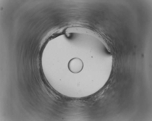 X0000064750244200603131350