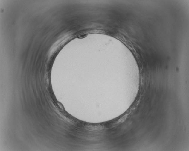 X0000064750245200603131350