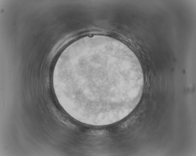 X0000064750247200603131350