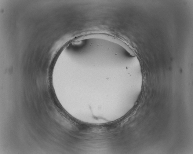 X0000064750248200603131350