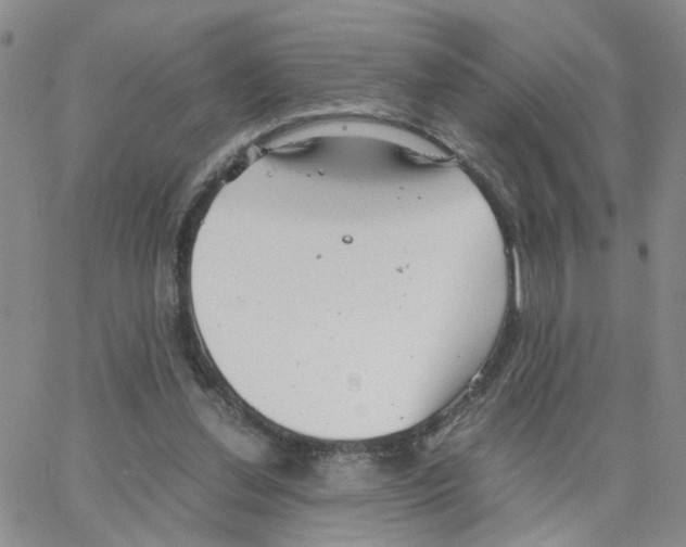 X0000064750252200603131350