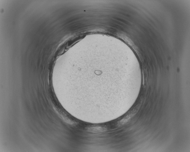 X0000064750253200603131351