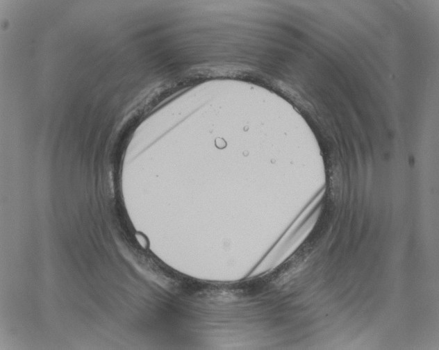 X0000064750254200603131351