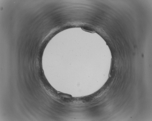 X0000064750256200603131351