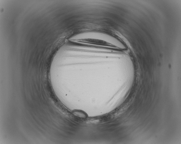 X0000064750257200603131351