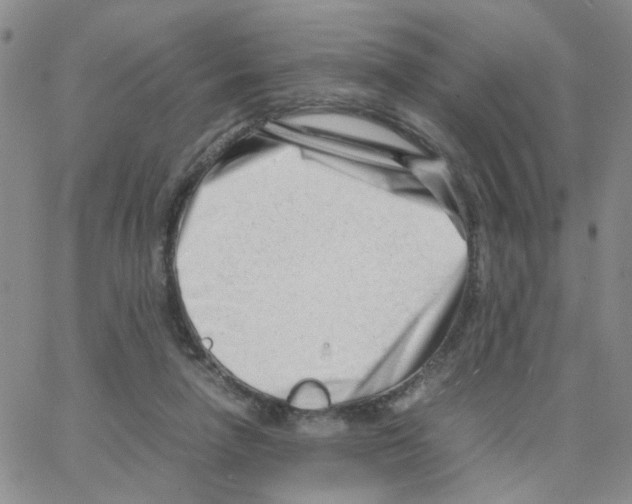 X0000064750258200603131351