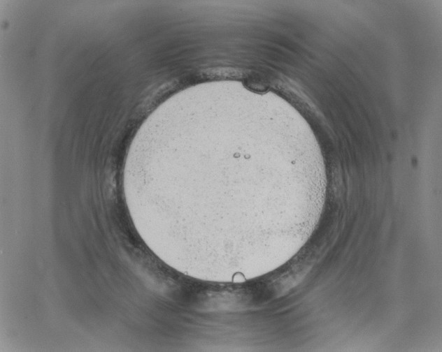 X0000064750259200603131351