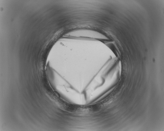 X0000064750260200603131351