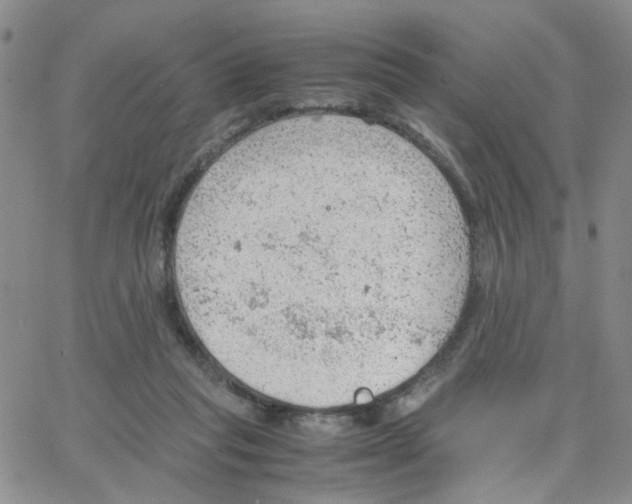 X0000064750261200603131351