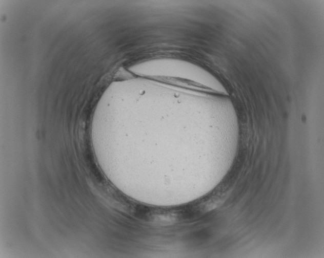 X0000064750263200603131351