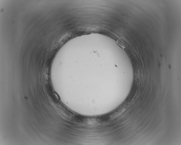 X0000064750264200603131351