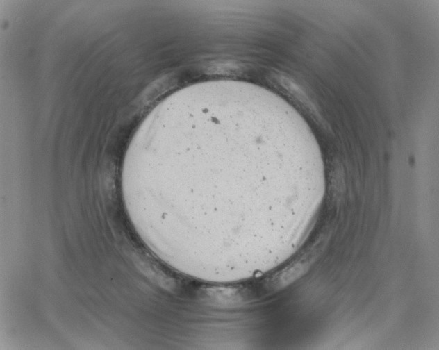 X0000064750265200603131351