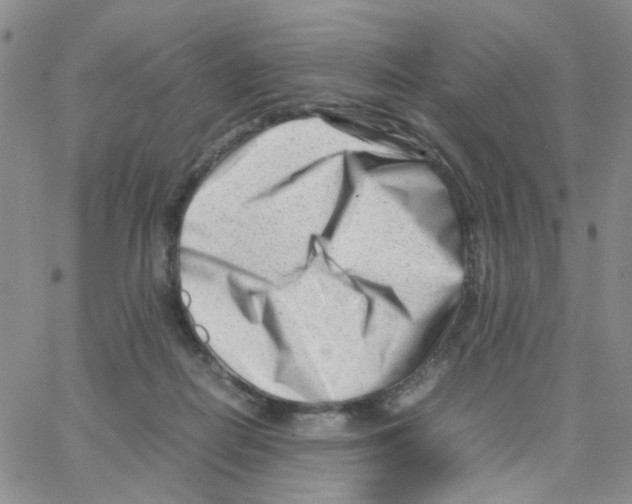 X0000064750266200603131351