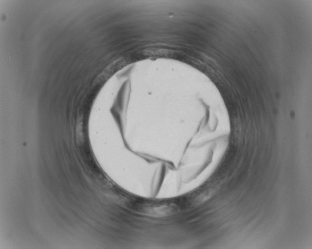 X0000064750267200603131351