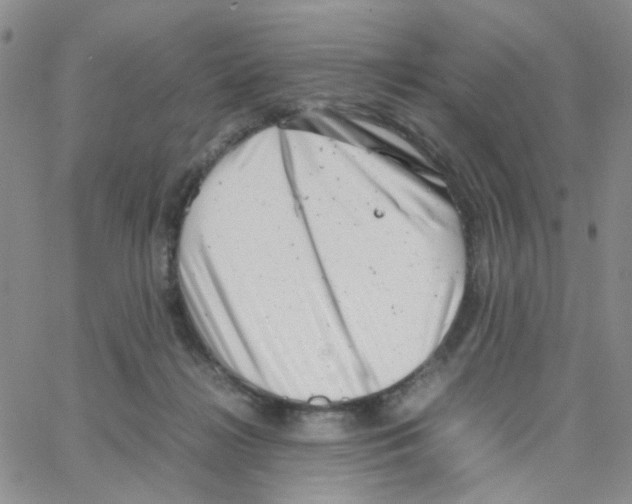 X0000064750268200603131351