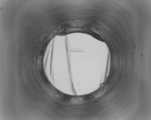 X0000064750271200603131351