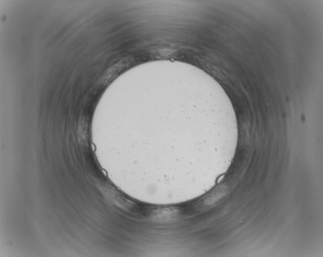 X0000064750274200603131351