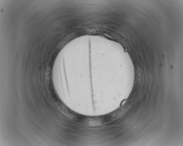 X0000064750275200603131351