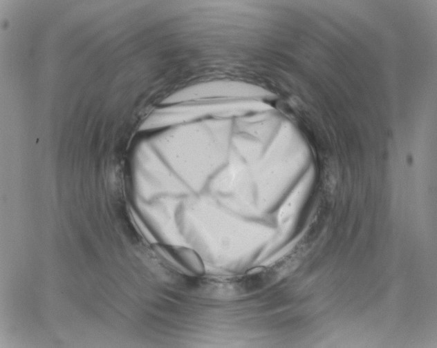 X0000064750276200603131351