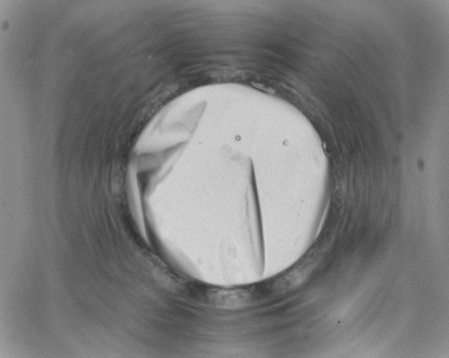 X0000064750277200603131351