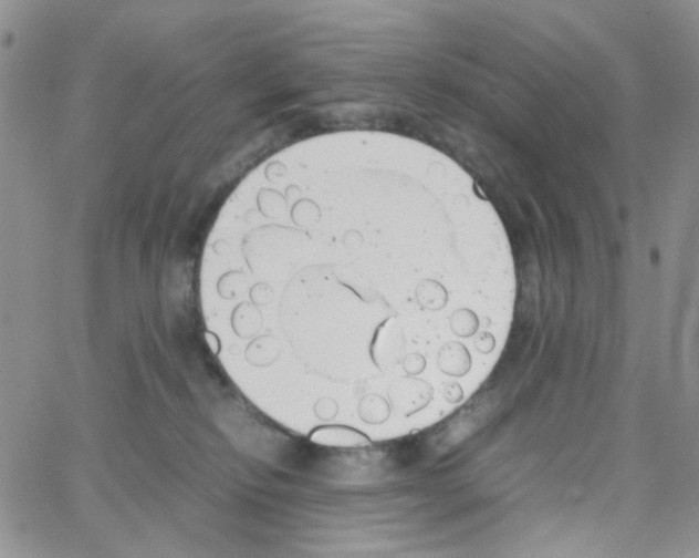 X0000064750278200603131351