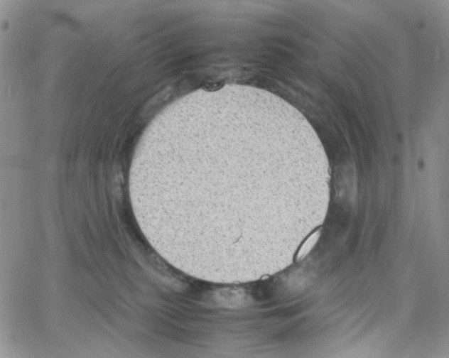 X0000064750279200603131351