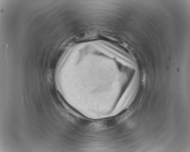 X0000064750280200603131351