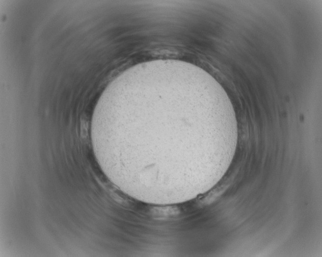 X0000064750281200603131351