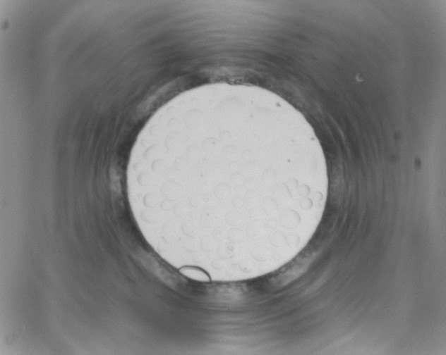 X0000064750282200603131351