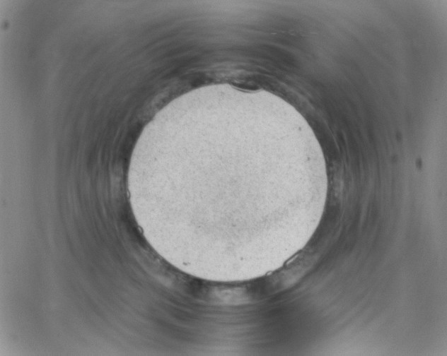 X0000064750283200603131351