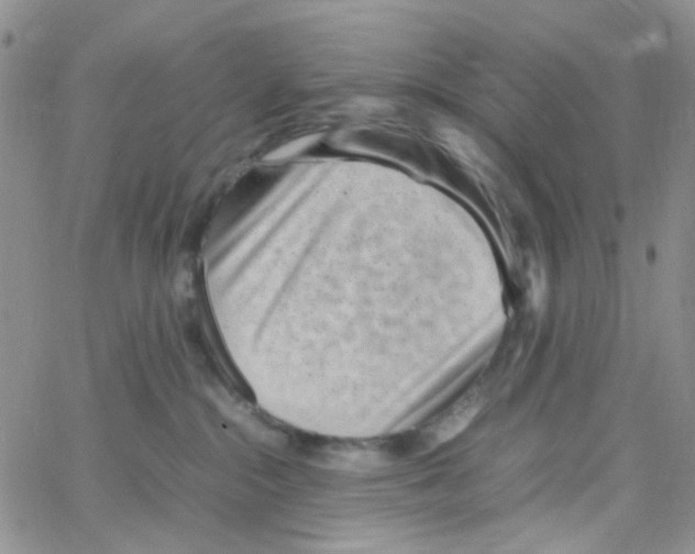 X0000064750284200603131351