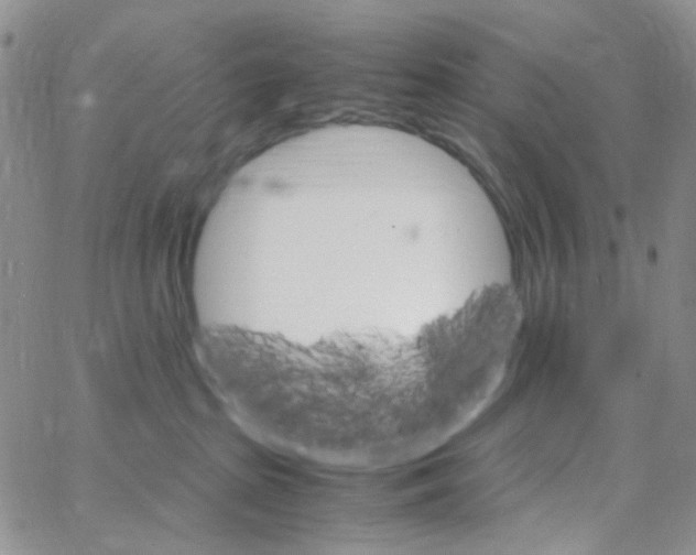 X0000064750285200603131351