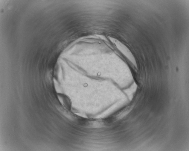 X0000064750286200603131351