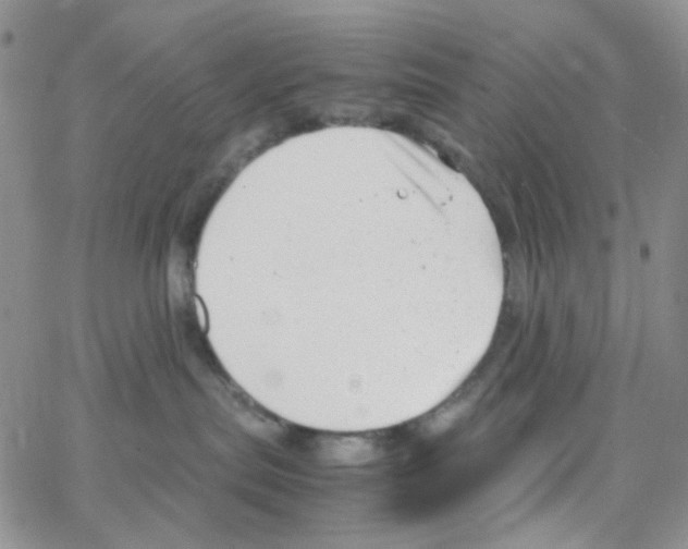 X0000064750287200603131351