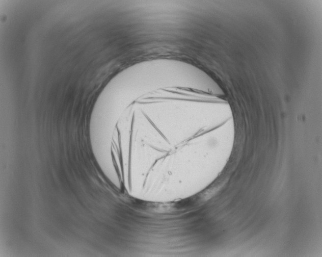 X0000064750288200603131351