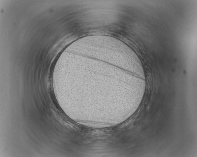 X0000064750290200603131350