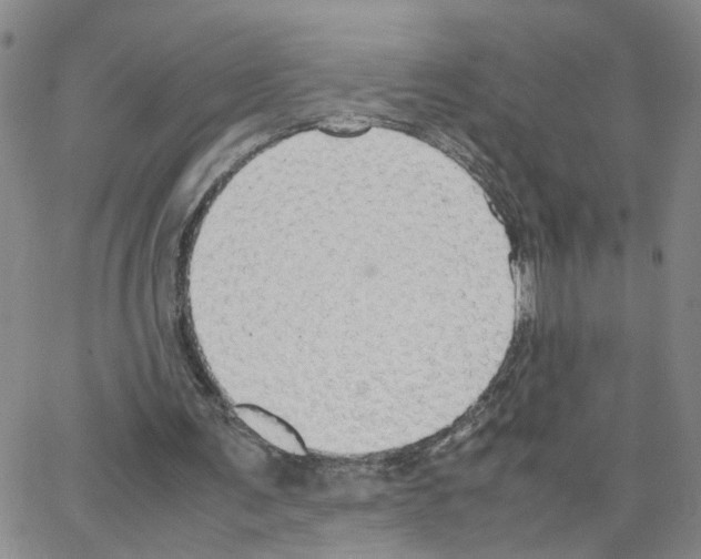 X0000064750291200603131350