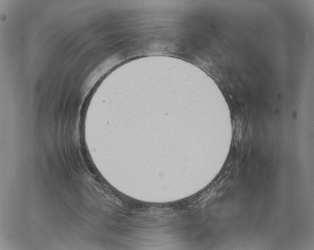 X0000064750292200603131350