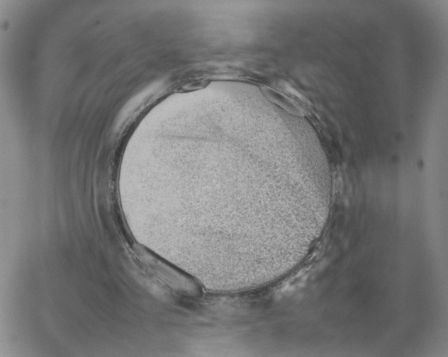 X0000064750293200603131350