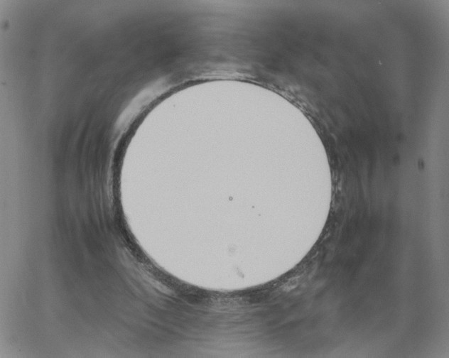 X0000064750296200603131350