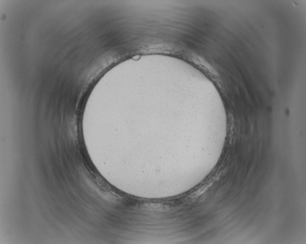 X0000064750298200603131350