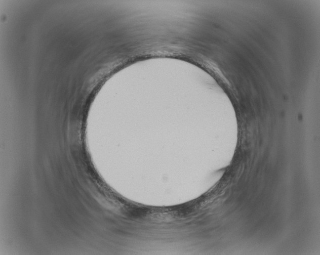 X0000064750299200603131350