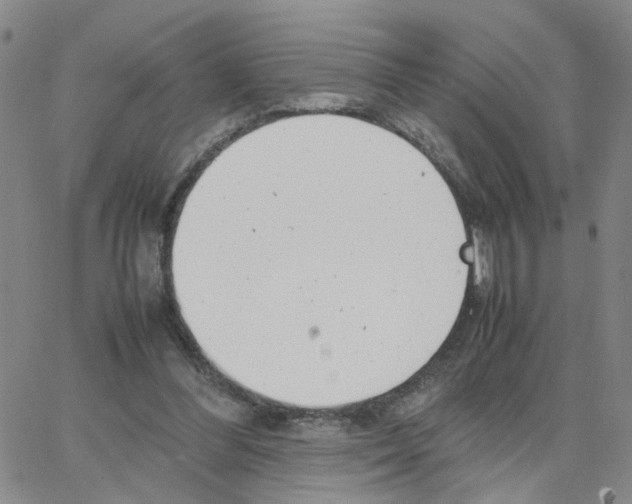 X0000064750300200603131350