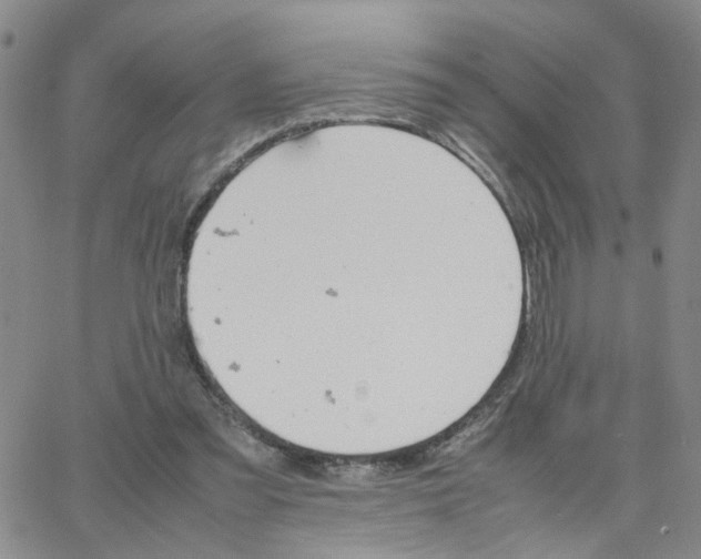 X0000064750301200603131350