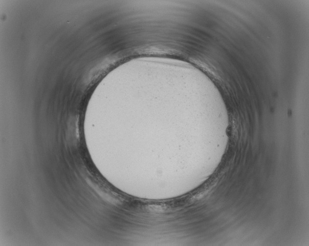 X0000064750302200603131350