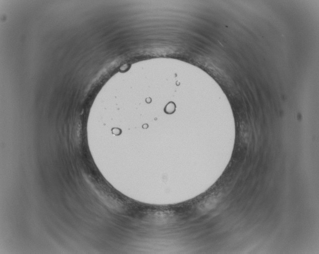 X0000064750304200603131350